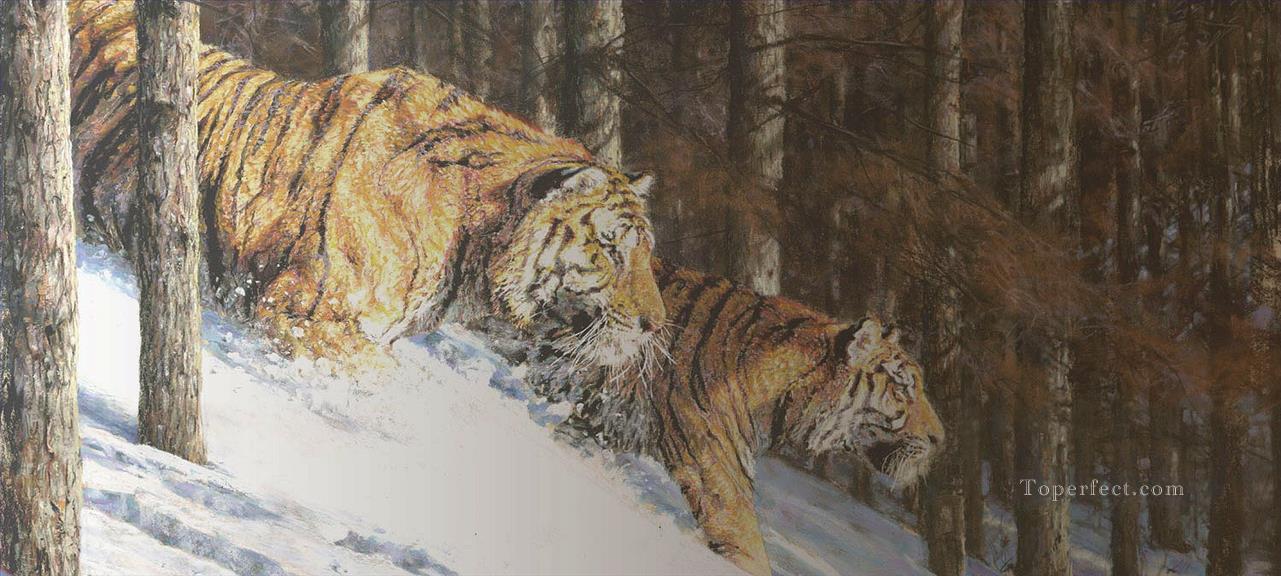 tiger 2 Oil Paintings